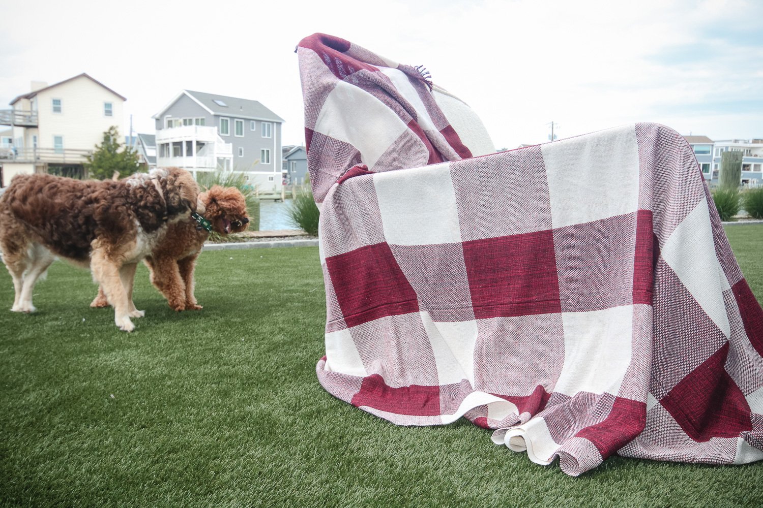 Jungle Legacy-393 Berry Patch - Image 1