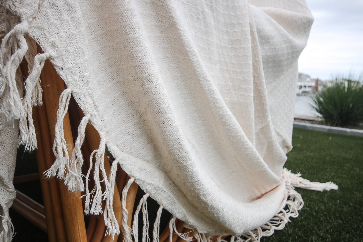 Jungle Legacy-552 Desert Echo - Image 1